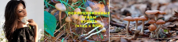 соль курить ск Покров